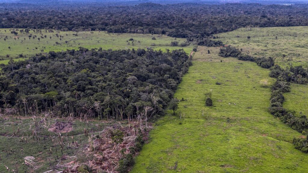 Deforestation 2